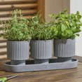 thumbnail image 4 of Better Homes & Gardens Ceramic Herb Planter Set-Grey, 4 of 7