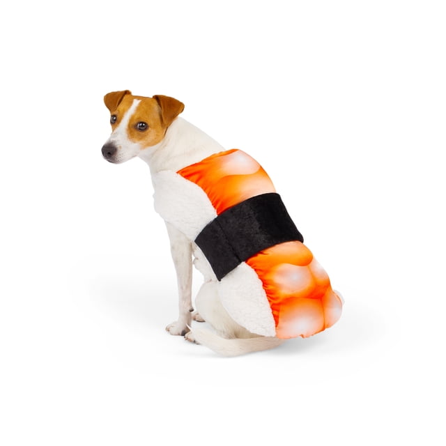 One Paw Sushi Dog Costume Halloween with a small dog wearing a sherpa and plush sushi outfit featuring a white rice-textured base, bright orange sushi topping, and a black band, designed for comfort and mobility during Halloween and pet events.