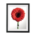 thumbnail image 1 of Document Photo Display 11X14/ 13X16 Black, 1 of 11