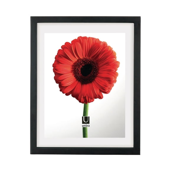 Document Photo Display 11X14/ 13X16 Black