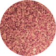 thumbnail image 1 of Ahgly Tapis Rond Lavable en Machine Intérieur Transitionnel Rouge Cramoisi, 7 Pieds Rond, 1 of 7