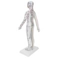 thumbnail image 1 of ANGGREK Modèle d'Acupuncture pour Femmes, Modèle d'Acupuncture avec Base, Ensemble d'Aiguilles d'Acupuncture, 1 of 8