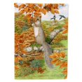 thumbnail image 1 of Carolines Treasures ASA2074CHF Drapeau Écureuil Gris en Toile Taille Maison, 1 of 1
