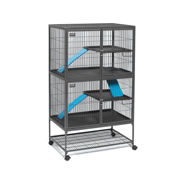 MidWest Ferret Nation 36"x25"x63.25" Double Unit Small Animal Cage with two stacked metal wire compartments, each with black adjustable shelves and bright blue ramps, secured by ferret-proof dual-locking doors, mounted on a wheeled metal stand with a lower wire storage shelf, suitable for ferrets and other small animals.