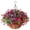 A, variante sur Décoration de Panier à Fleurs, Fleurs Suspendues Artificielles avec Panier Printemps Décoration Extérieure Extérieure Faux Soie Coloré dans Jardinière Aspect Réel Maison Porche Patio Balcon Cour Déco