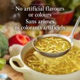 thumbnail image 4 of Lipton Mélange à Soupe Déshydraté pour une soupe aux nouilles classique et rapide Poulet et Nouilles faible en gras et sans arômes ou colorants artificiels 166 g, 4 of 8
