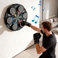 thumbnail image 4 of Hearth & Gear Music Wall Boxing Machine With Boxing Connection Colorful LED Lights 5 Speed Adjustment Multiple Training Modes Hot Yoga Dome Yoga Wheel Heavy Duty Yoga Set to Improve Strength And, 4 of 7
