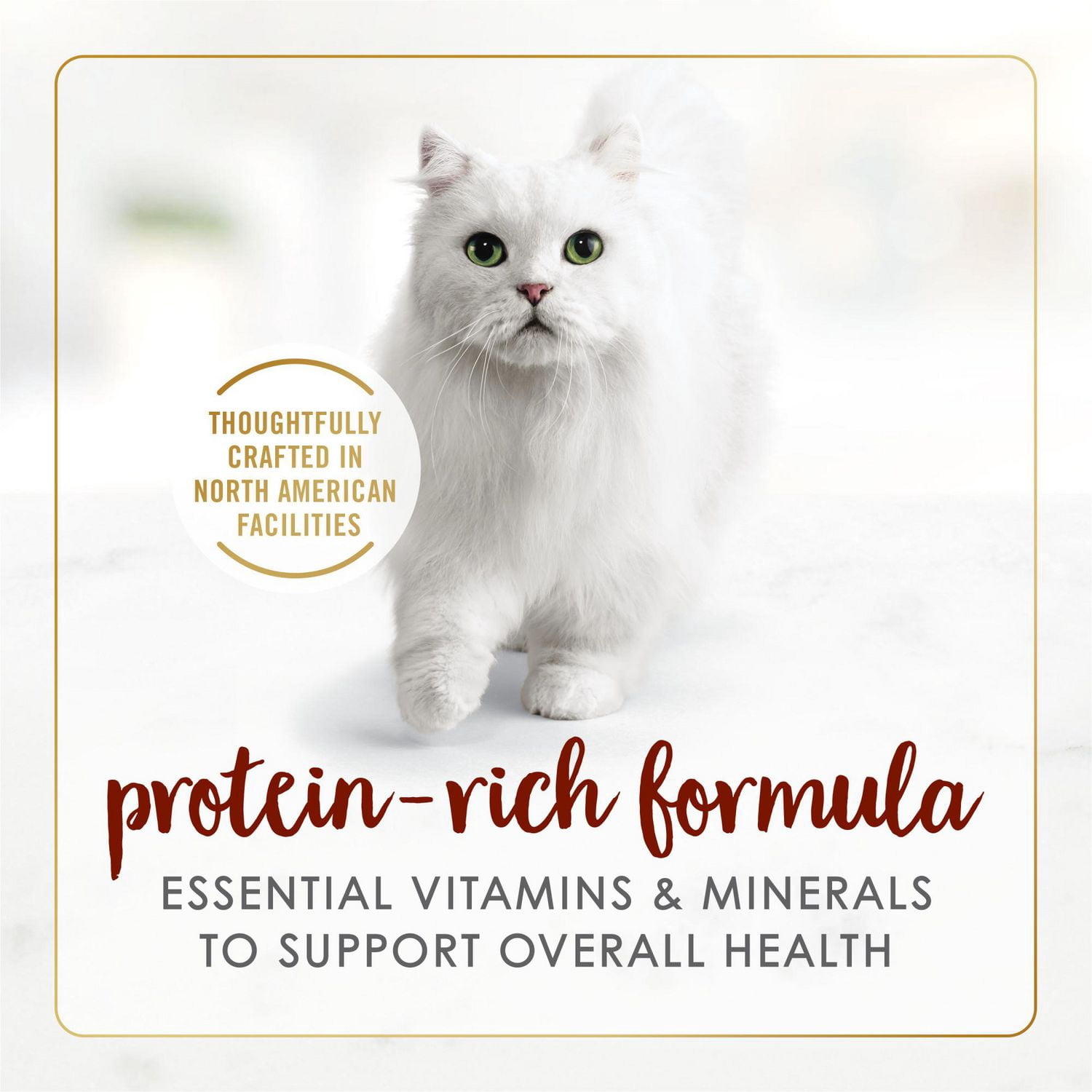 Purina Fancy Feast Pate Festin a Saveur de Boeuf Nourriture pour Chats 85g