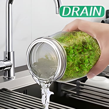 Becaristey Fresh And Healthy Broccoli Sprouts Suitable For Any Kitchen Style Easy To Install And Maintain A