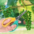 thumbnail image 4 of HURRISE Curved Blade Grape Pruning Shears, Bonsai Shears,Curved Blade Grape Pruning Shears Stainless Steel Bonsai Shears Fruit Branch Picking Scissors, 4 of 9