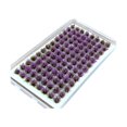 thumbnail image 1 of jifeng Artificial DIY Miniature Flower Cluster Grass Tufts Diorama Layout Scenery Model Amaranth, 1 of 9