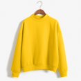 thumbnail image 2 of 2025 Femmes Col Rond Uni Hauts pour Femmes Couleur Col Roulé Manches Longues Hauts et Chemisiers pour Femmes Plus Velours, 2 of 6