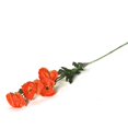 thumbnail image 1 of Ensemble de 2 Fleurs Artificielles Coquelicot Orange, 1 of 1