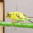 thumbnail image 4 of CBFFDC Rust-resistant Parrot Collar Smooth Bird Training Chain Bird friendly Bite Resistant Free Peony Flying Training Pet Supply, 4 of 7