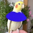 thumbnail image 4 of Pet Parrot E Collars Feather Plucking Collar Protective Recovery For Lovebird Agapornis C, 4 of 5