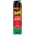 thumbnail image 1 of Raid Ant Nest Destroyer Insect Killer Spray, for Outdoor Use, 400g, 1 of 8