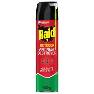 Raid Ant Nest Destroyer Insect Killer Spray, for Outdoor Use, 400g