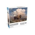 thumbnail image 3 of 1000P KNORLEIN ASRT - FRENCH, 3 of 5