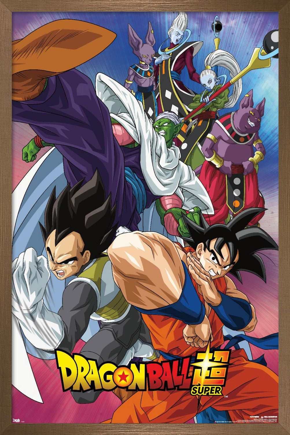 Dragon Ball : Super - Groupe