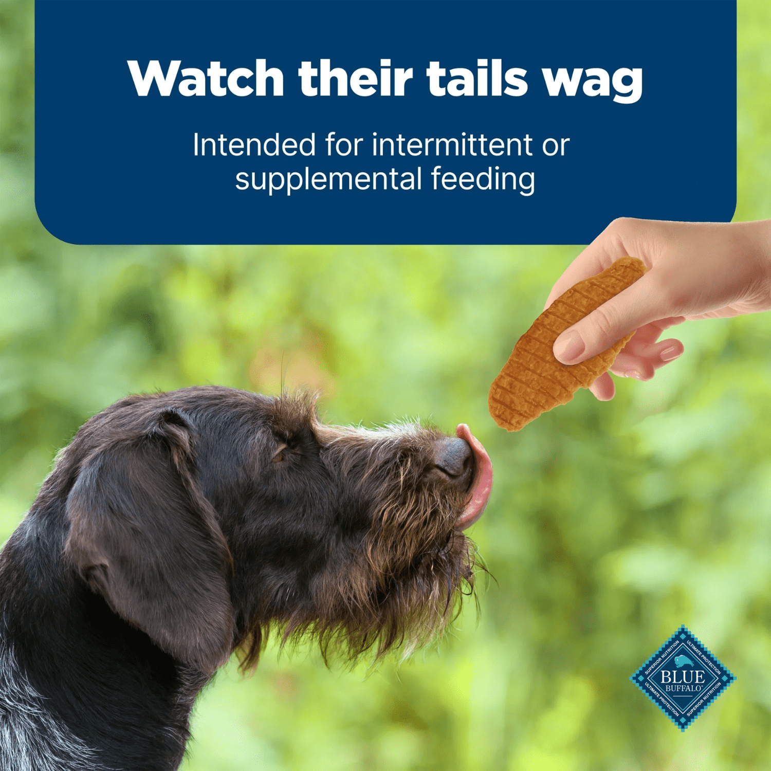 Blue Buffalo Nudges Jerky en Tranches Gateries Naturelles Pour Chiens, Poulet, 453g