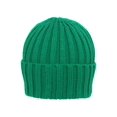 thumbnail image 1 of Gravity 12.5 inch Long Knitted Beanie - Kelly Green, 1 of 2