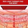 thumbnail image 3 of 1280pcs LED Red Light Therapy Mat, Full Body Red Light Therapy Lamp with Timer, Red Light 660nm and Near Infrared Light 850nmfor accelerates Cell Regeneration and Body Pain Relief, 3 of 7