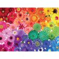 thumbnail image 1 of Ceaco Colorstory 750 Pièces Puzzle Pouvoir Des Fleurs, 1 of 1