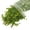 33ml green, variant on Milaget Micro Landscape Leaves Layout Grass Tufts Architecture for Fairy Garden Maple 33ml Red