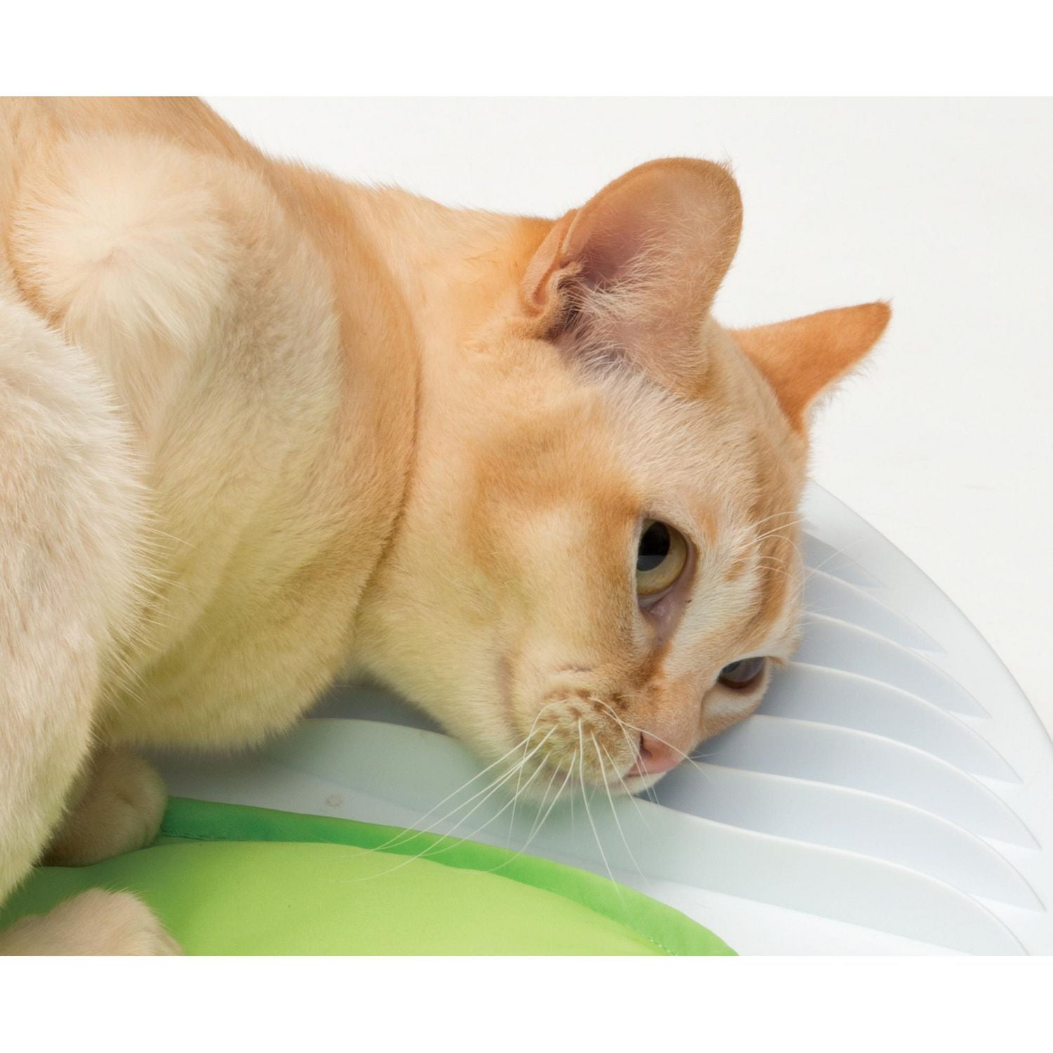 Catit Senses 2.0 Wellness Center Interactive Cat Toys