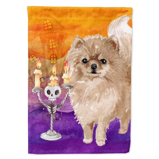 Carolines Treasures CK3224GF Hallween Pomeranian Drapeau de Jardin