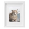 thumbnail image 1 of DesignOvation Gallery 8" x 10" Matted to 5" x 7" White Picture Frame, 1 of 8