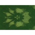 thumbnail image 1 of Ahgly Tapis Rectangulaire Lavable en Machine Intérieur Transitionnel Vert Lime Foncé, 2 Pieds x 5 Pieds, 1 of 7