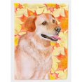thumbnail image 1 of Carolines Treasures BB9975CHF Labrador Retriever Drapeau d'Automne - Taille de la Maison de Toile, 1 of 4