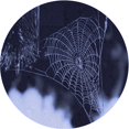 thumbnail image 1 of Ahgly Tapis Rond Lavable en Machine Intérieur Transitionnel Violet Pervenche, 3 Pieds Rond, 1 of 7
