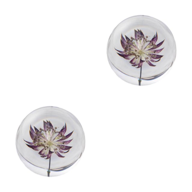 Baohd Exquisite Flower Crystal Ball Adding Elegance To Space Easily Portable Astrantia 8cm 2Set