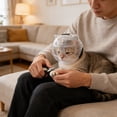 thumbnail image 4 of TIELUTT Transparent Cat Recovery Collar Soft Protective E After Adjustable Neck Size for Rain Cover Dog Dog Trailer Accessories English Accessories Bike Rack Dog Camping Accessories for Dogs, 4 of 4