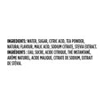 thumbnail image 5 of Discontinued Lipton Thé Glacé, Pêche, bouteille de 500ml, 5 of 5