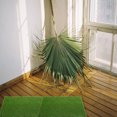 thumbnail image 4 of 5 Pcs Gazon Artificiel Fausse Pelouse Carré Gazon Artificiel Accessoire de Micro-Paysage, 4 of 9