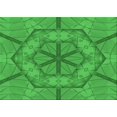 thumbnail image 1 of Ahgly Company Tapis Rectangulaire Lavable en Machine Intérieur Transitionnel Vert Lime, 2 Pieds x 3 Pieds, 1 of 7