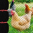 thumbnail image 3 of Bird Protective Mesh Netting Keep Birds And Pests Away From Your Garden  50 X 25ft, 3 of 8