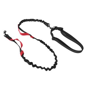Feuille de chien de Bungee,Solution innovante de la laisse de chien du Bungene, chien de gros calibre de Bunee