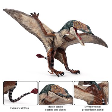 Figurines d'Action Modèle Animal Pterodactyl PVC Dinosaure Monde Bouche Ouverte pour Enfants