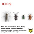thumbnail image 3 of Raid Home Insect Killer, for Indoor and Outdoor Use, 350g, 3 of 9