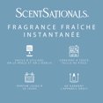 thumbnail image 4 of ScentSationals, Diffuseur d'huile parfumée - Bouteille unique, 4 of 8