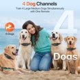 thumbnail image 4 of Dog Training Collar with Remote, Dog Shock Collar with 4 Training Modes, IP68 Waterproof Rechargeable e Collar for Large Medium Dogs with Beep S, 4 of 6