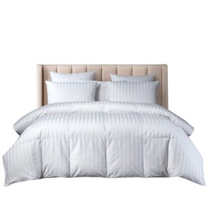 Beautyrest US Grown Cotton All Seasons Warmth Exceptional Hungarian White Goose Down Comforter Queen Size-750 Fill Power 500TC Damask Stripe Fabric