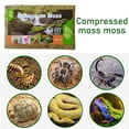 thumbnail image 2 of Compressed Sphagnum Moss for Potted Plant Orchid Potting Mix Peat Moss Pole, 2 of 8