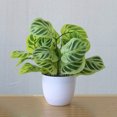 thumbnail image 4 of fastboy Artificial Potted Plant Leaf Simulation Leaves Home Office Desktop Greenery Decoration, Plant Type 8, 4 of 5