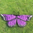 thumbnail image 2 of Filles Garçons Enfants Ailes de Fée Papillon Déguisement Fantaisie Costume Fête Jeu d'Imitation, 2 of 4