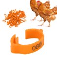 thumbnail image 4 of Chicken Foot Rings, Retractable Six Card Slots 10pcs/set Poultry Leg Bands Safe And Non-  For Poultry For Outdoors For Daily For Home Orange, 4 of 8